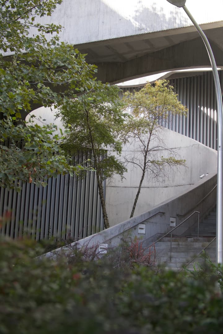 a concrete staircase wraping around a single tree seen from afar through surrounding foliage